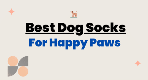 Best Dog socks for Happy Paws- Blog